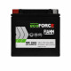 FIAMM Ecoforce AGM (VR200) 12Аh 200А L+