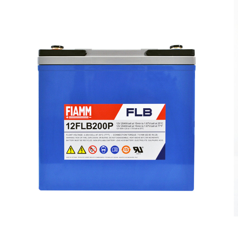 FIAMM High Performance 12V 55Ah (12FLB200P)