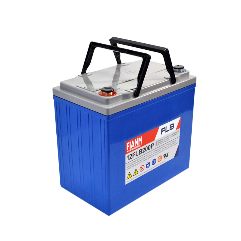 FIAMM High Performance 12V 55Ah (12FLB200P)