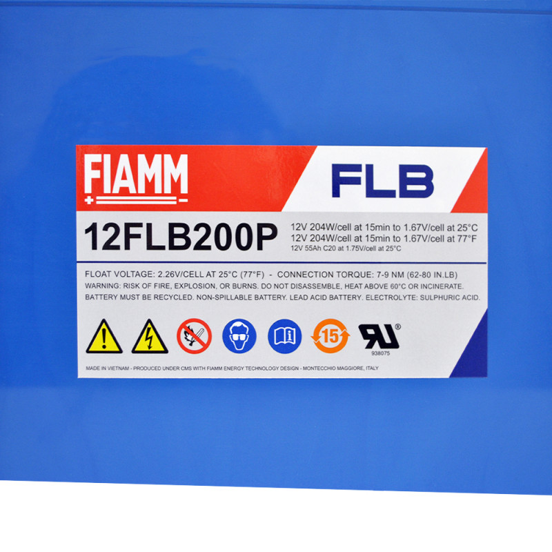 FIAMM High Performance 12V 55Ah (12FLB200P)